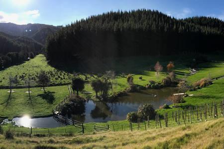 Castello Di Vino Lägenhet Blenheim Exteriör bild